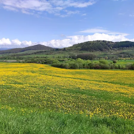 Areal Bobo Апартаменты Slatinske Lazy