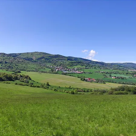 Areal Bobo Apartment *