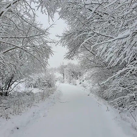 Areal Bobo Apartment Slatinske Lazy