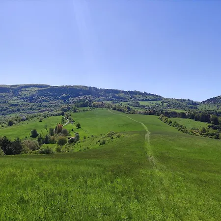 Апартаменты Areal Bobo *