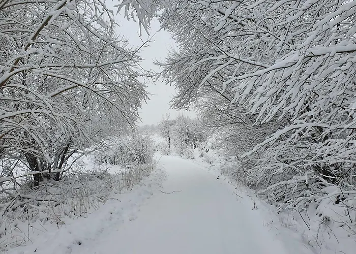 Areal Bobo アパート Slatinske Lazy