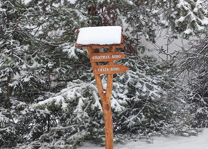 Areal Bobo アパート *